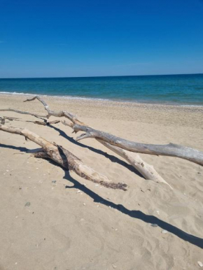 APPARTAMENTO TRA OASI naturalistica e MARE San Benedetto Del Tronto